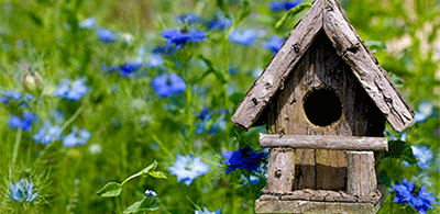 Birdhouse in garden